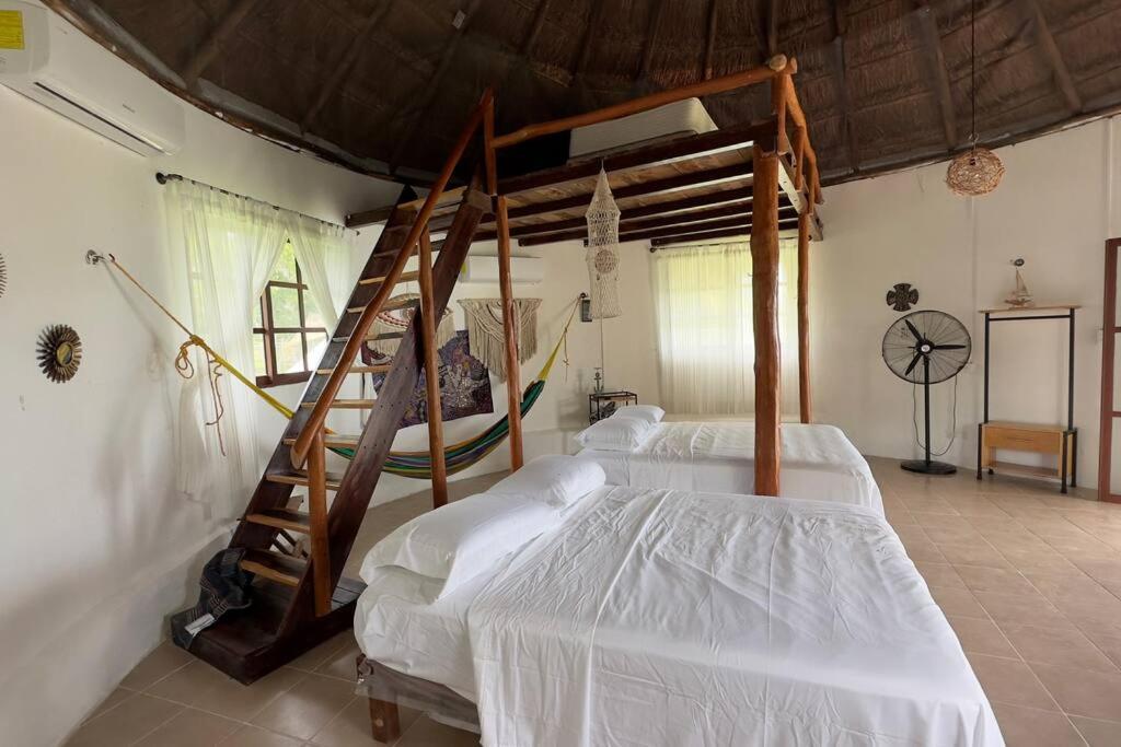 Luigi'S Glamping Apartamento Bacalar Exterior foto